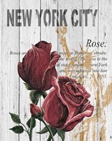 Framed New York Roses