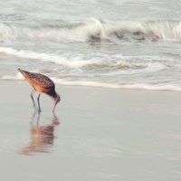 Framed Soft Sea