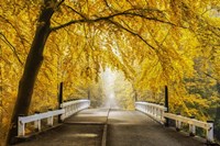 Framed Bridge to Fall III