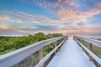 Framed Walk To Sunset Beach