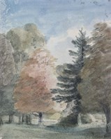 Framed Study of Trees in a Park