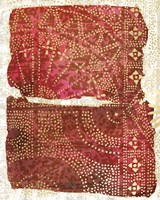 Framed Glimmer Sari I