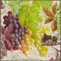 Framed 'Vintage Fruits II Grapes' border=