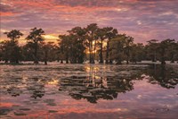 Framed Sundown in the Swamps