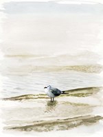 Framed Coastal Gull II