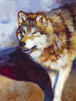 Framed Wolf Study II