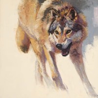 Framed Wolf Study IV