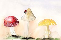 Framed Faerie Mushrooms I