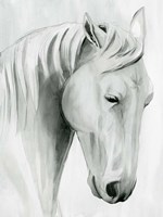 Framed Horse Whisper II