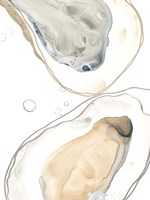 Framed Ocean Oysters IV