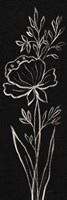 Framed Black Floral III Crop