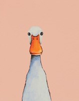 Framed Little Duck