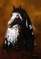Framed Sioux War Pony