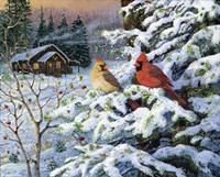 Framed Winters Warm Glow Cardinals