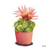 Framed Cactus Flowers I