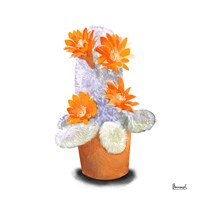 Framed Cactus Flowers VI