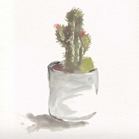 Framed Watercolor Cactus Still Life II