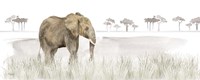 Framed Serengeti Elephant horizontal panel
