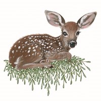 Framed Fawn