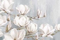 Framed White Magnolia