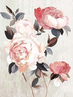 Framed Bloom of Blush