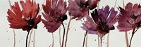 Framed Blushing Blooms