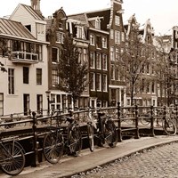 Framed Autumn in Amsterdam I