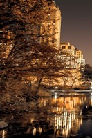 Framed Central Park Glow I