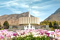 Framed Provo Temple