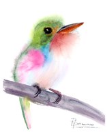 Framed Tropical Bird V