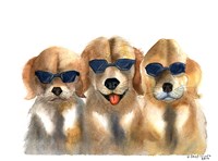 Framed Dogs in Glasses