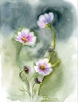 Framed Purple Flowers II