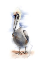 Framed Pelican II