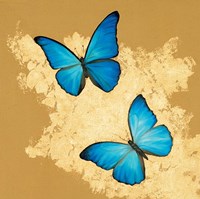 Framed 'Cerulean Butterfly I' border=