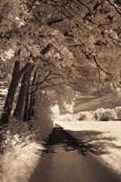 Framed Path Ahead