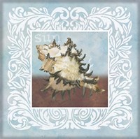 Framed Sandy Shells Blue Spikey