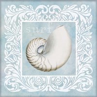 Framed 'Sandy Shells Blue on Blue Nautilus' border=