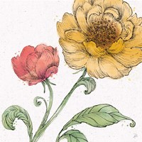 Framed Blossom Sketches III Color