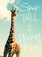 Framed Stand Tall And Dream Big