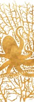 Framed Sealife on Gold I
