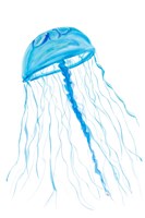 Framed Jellyfish I