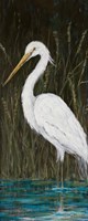 Framed White Egret