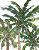 Framed Tropical Trees on White III