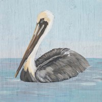 Framed Pelican Wash I