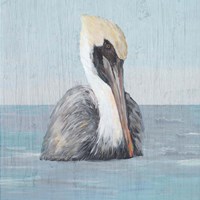 Framed Pelican Wash II