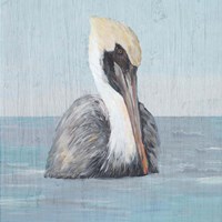 Framed 'Pelican Wash II' border=