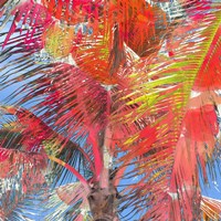 Framed Bright Palms
