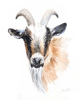 Framed Goat II