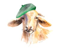 Framed French Goat