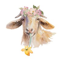 Framed Flower Goat